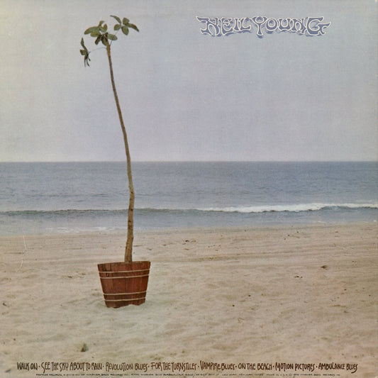 Neil Young - On The Beach (R 2180) 1974 US Reprise|中古LP