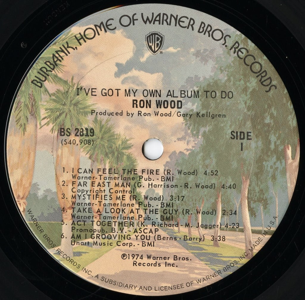 Ron Wood - I've Got My Own Album to Do (BS 2819) LP 1974 US Warner Bros|中古LP