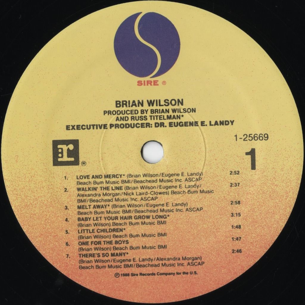 Brian Wilson / ブライアン・ウィルソン / Brian Wilson (1988) (1-25669)