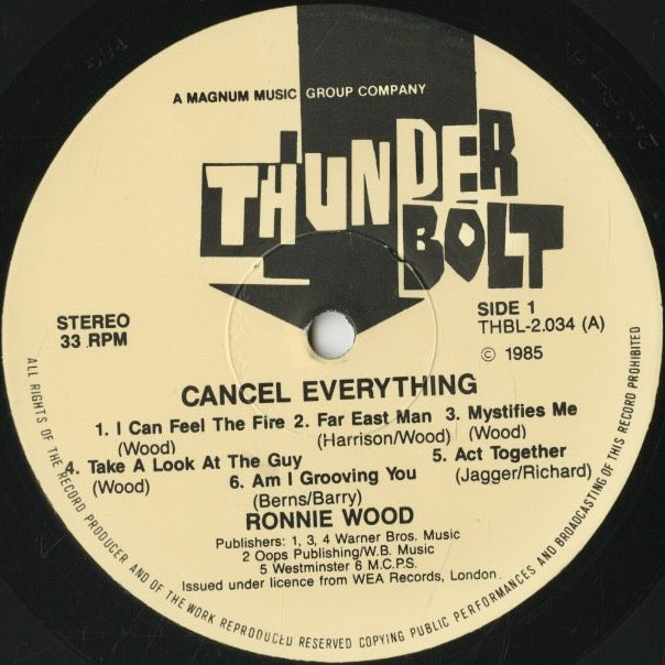 Ronnie Wood – Cancel Everything (THBL-2.034) LP 1985 UK Thunderbolt | 中古LP