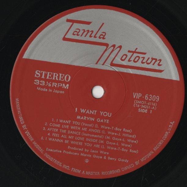 Marvin Gaye / マーヴィン・ゲイ / I Want You (VIP-6309)