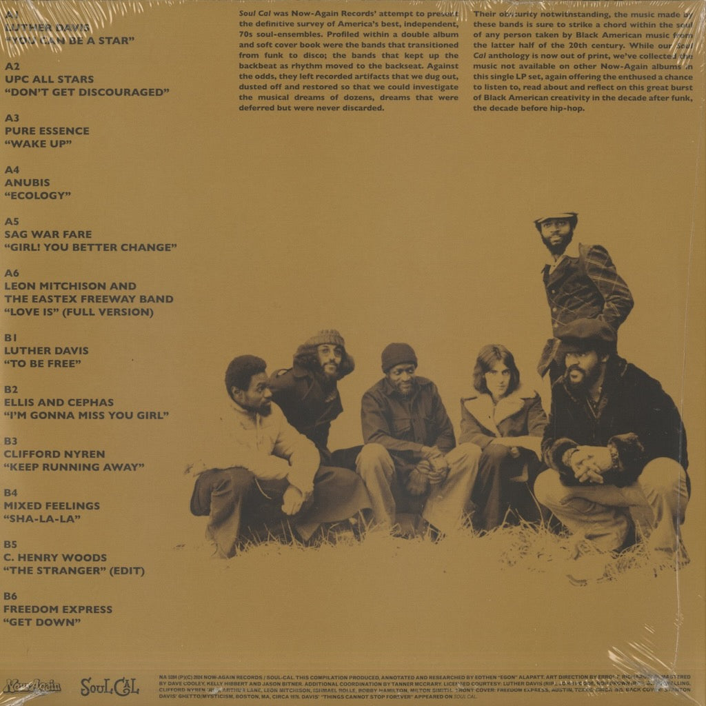 V.A. - You Can Be A Star! : Deep Disco and Crossover 70's Soul (NA5284)|新品LP
