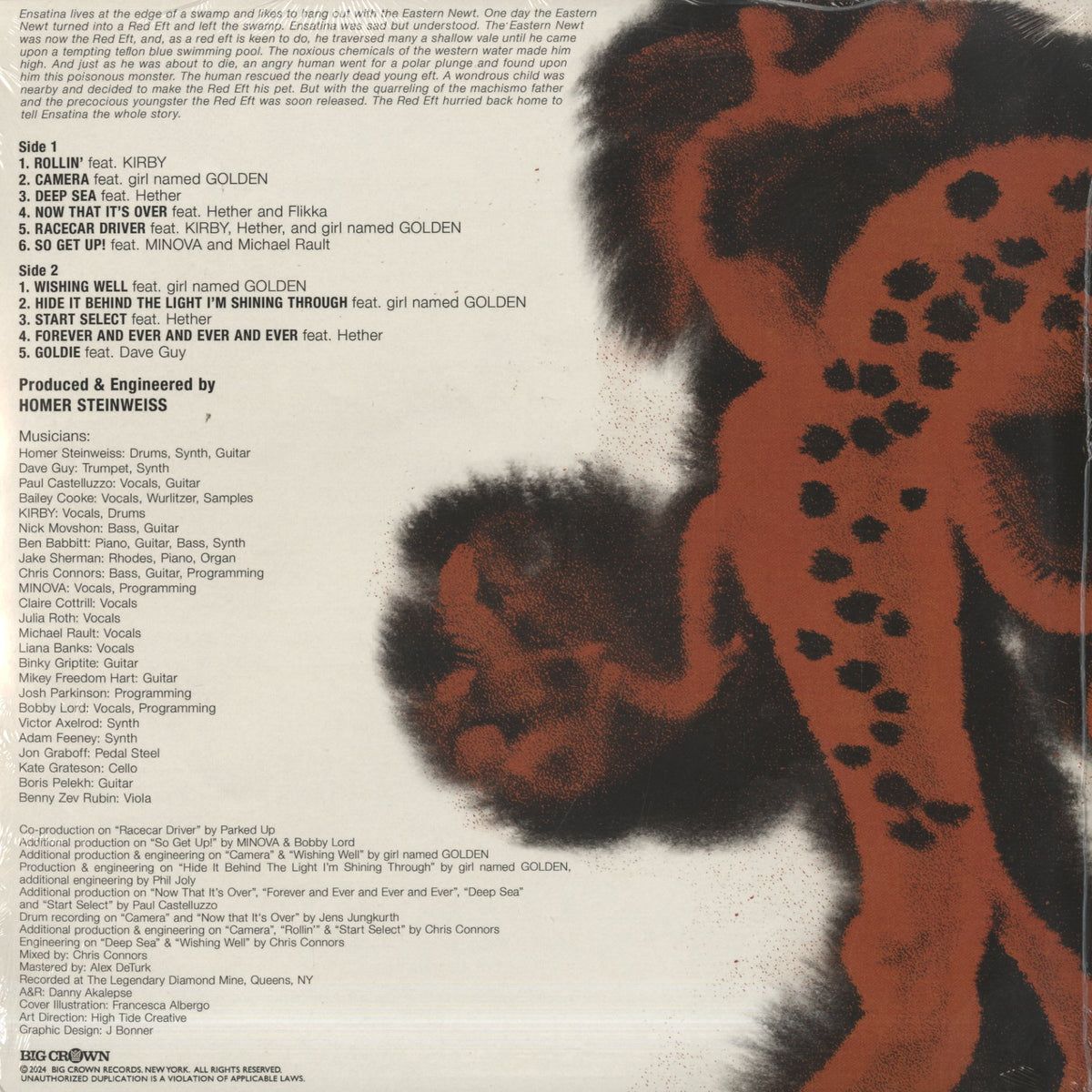Homer / Ensatina (BC185-LP)