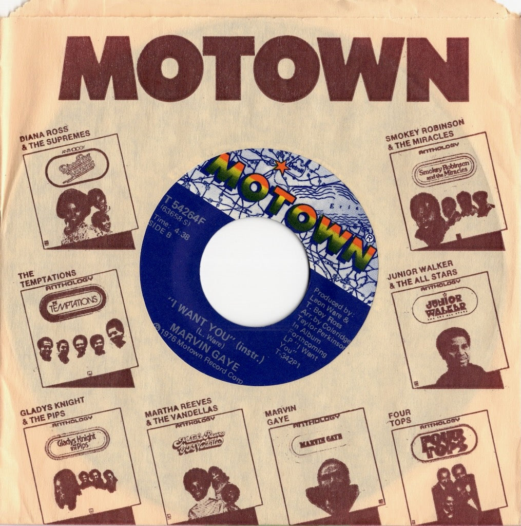 Marvin Gaye / マーヴィン・ゲイ / I Want You / Inst -7 (T54264F)