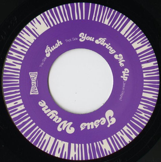 Jesus Wayne – Rush / You Bring Me Up (ES047) US Numero Group|新品7inch