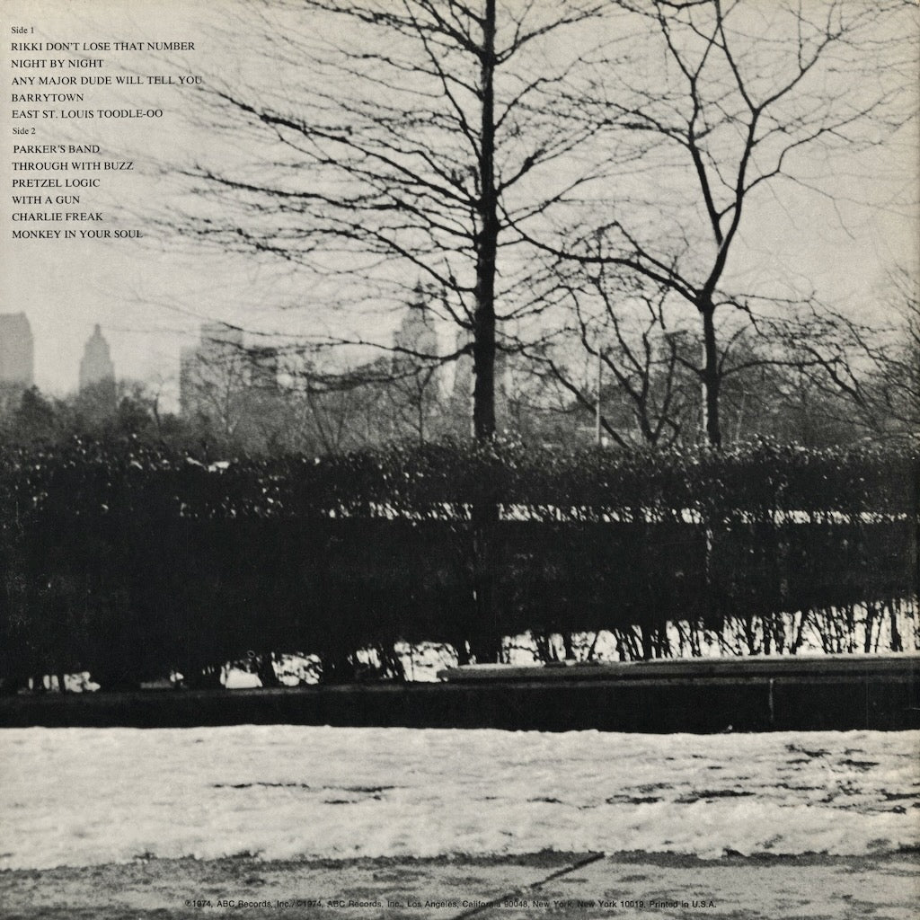 Steely Dan - Pretzel Logic (ABCD-808) LP 1974 US ABC｜中古LP