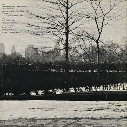 Steely Dan - Pretzel Logic (ABCD-808) LP 1974 US ABC｜中古LP