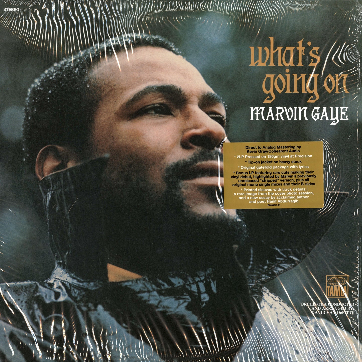 Marvin Gaye / マーヴィン・ゲイ / What's Going On - 50th Anniversary Edition 2LP (B0033741-01)