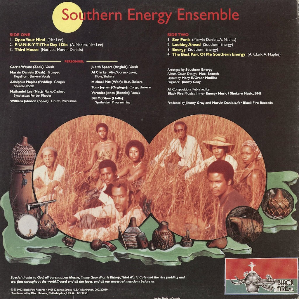 Southern Energy Ensemble - Southern Energy Ensemble (BF19758) 1993 US Black Fire Records｜中古LP
