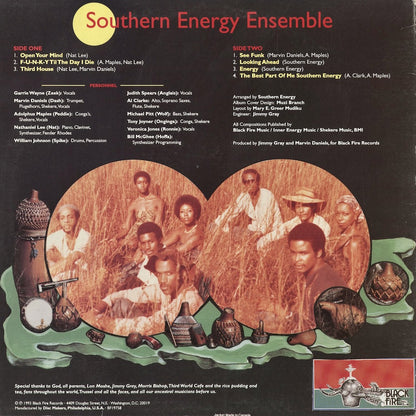 Southern Energy Ensemble - Southern Energy Ensemble (BF19758) 1993 US Black Fire Records｜中古LP