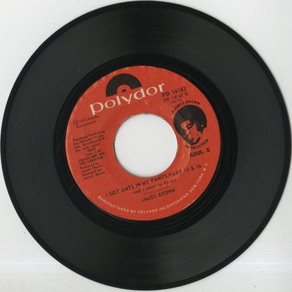 James Brown / ジェイムズ・ブラウン / I Got Ants In My Pants -7 (PD 14162)