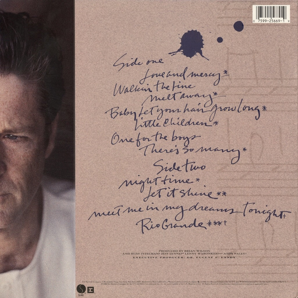 Brian Wilson / ブライアン・ウィルソン / Brian Wilson (1988) (1-25669)