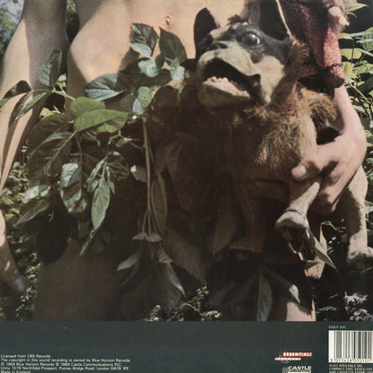 Fleetwood Mac / フリートウッド・マック / Mr. Wonderful (ESSLP 010)