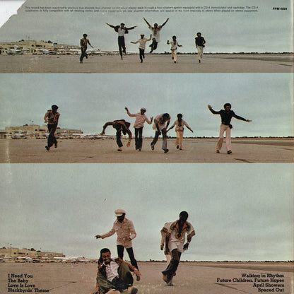 Blackbyrds / ブラックバーズ / Flying Start (FPM-4004)