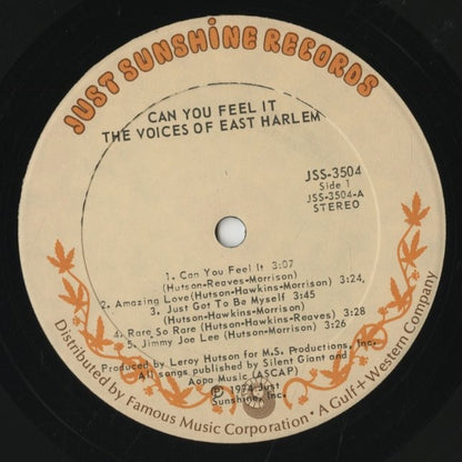The Voices Of East Harlem / ヴォイセズ・オブ・イースト・ハーレム / Can You Feel It (JSS-3504)