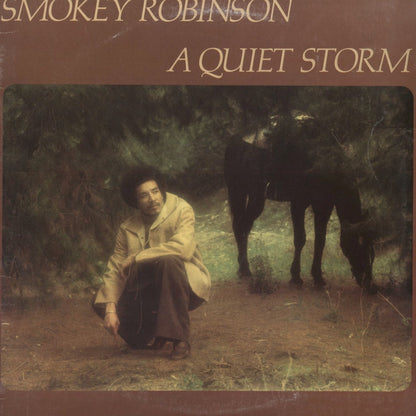 Smokey Robinson / スモーキー・ロビンソン / A Quiet Storm (T6-337S1)