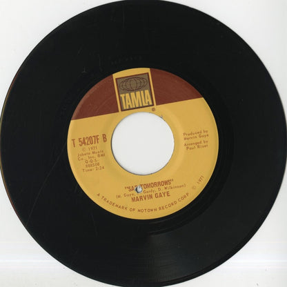 Marvin Gaye / マーヴィン・ゲイ / Mercy Mercy Me / Sad Tomorrows -7 (T 54207F)
