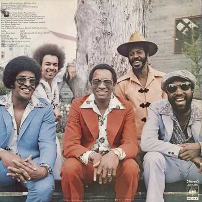 Ramsey Lewis - Don't It Feel Good (SOPN 160) 1975 JPN CBS/Sony｜中古LP
