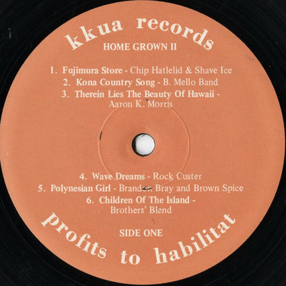 V.A./ Home Grown  / ホーム・グロウン / 2 : Nohelani Cypriano / Ray Gooliak etc.