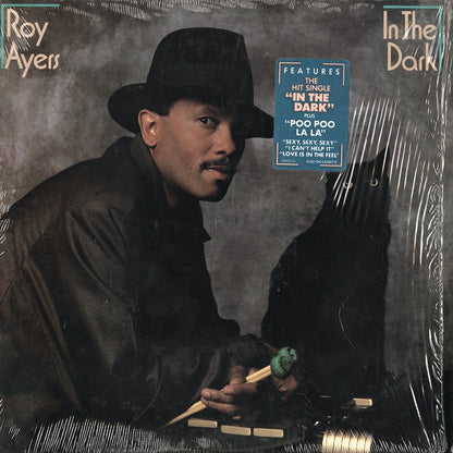 Roy Ayers / ロイ・エアーズ / In The Dark (FC39422)