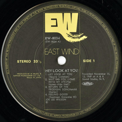Joe Lee Wilson – Hey Look At You (EW-8034) LP 1976 JPN East Wind | 中古LP