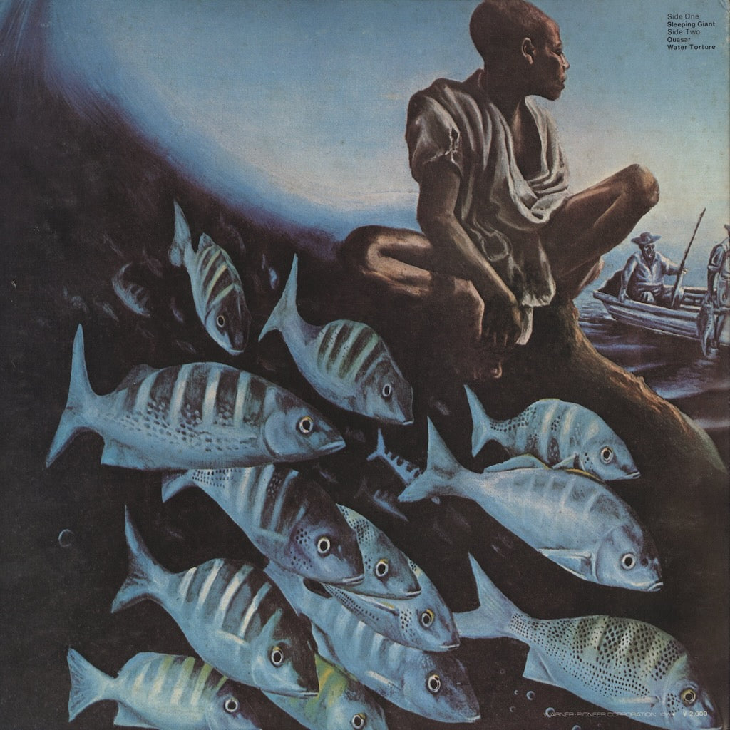 Herbie Hancock - Crossings (P-8251W)｜中古LP