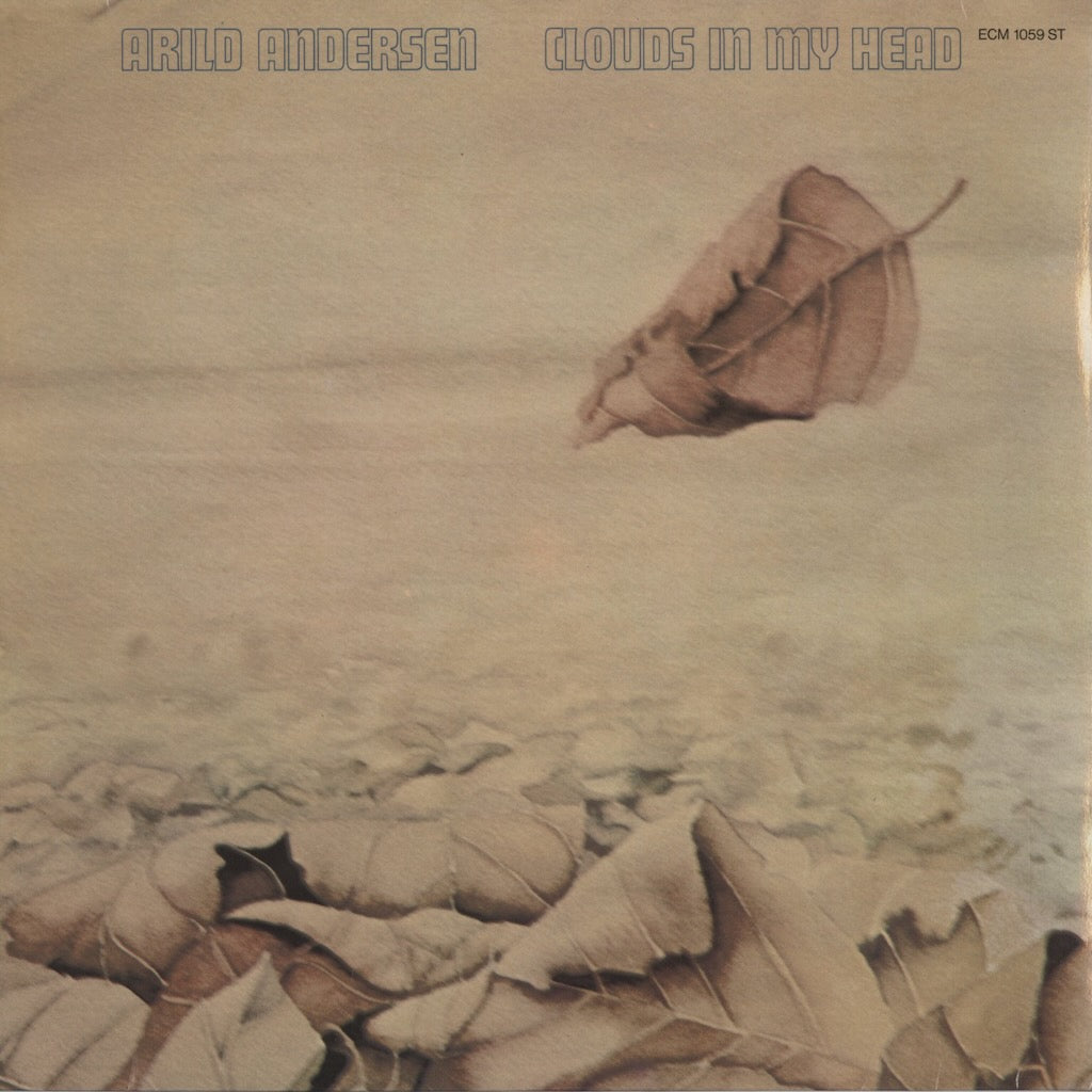 Arild Andersen - Clouds In My Head (ECM 1059 ST) 1975 GER ECM｜中古LP