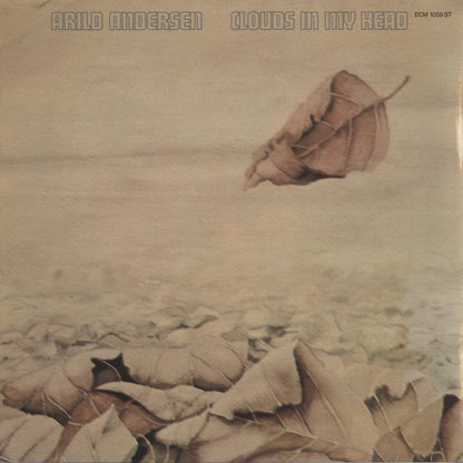 Arild Andersen - Clouds In My Head (ECM 1059 ST) 1975 GER ECM｜中古LP
