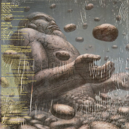 Slave - Stone Jam (SD 5224) 1980 US Cotillion｜中古LP