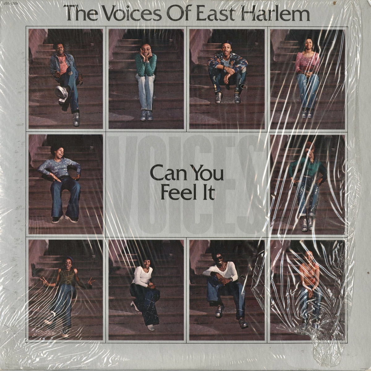 The Voices Of East Harlem - Can You Feel It (JSS-3504) 1974 US Just Sunshine Records｜中古LP
