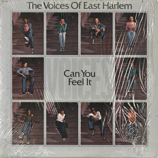 The Voices Of East Harlem - Can You Feel It (JSS-3504) 1974 US Just Sunshine Records｜中古LP