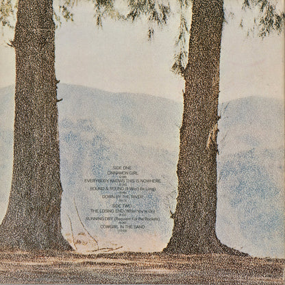 Neil Young - Everybody Knows This Is Nowhere (RS 6349) 1970's US Reprise｜中古LP