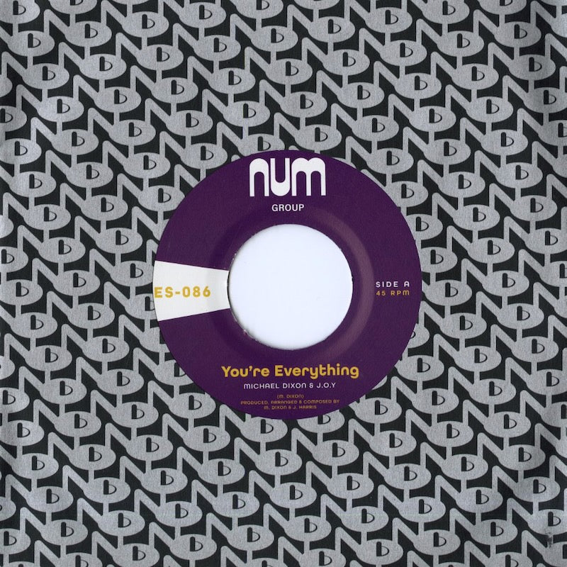 Michael Dixon & J.O.Y. / マイケル・ディクソン / You're Everything - 7 (ES086)
