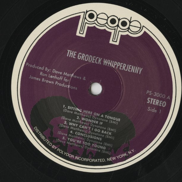 Dave Matthews / デヴィッド・マシューズ / The Grodeck Whipperjenny (1971)