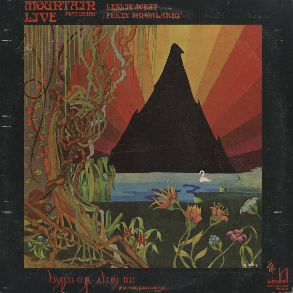 Mountain / マウンテン / Live (WINDFALL5502)