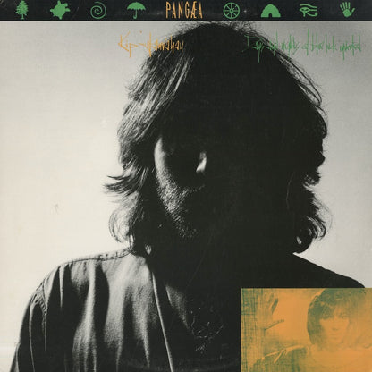 Kip Hanrahan / キップ・ハンラハン / Days And Nights Of Blue Luck Inverted (PAN-42137)