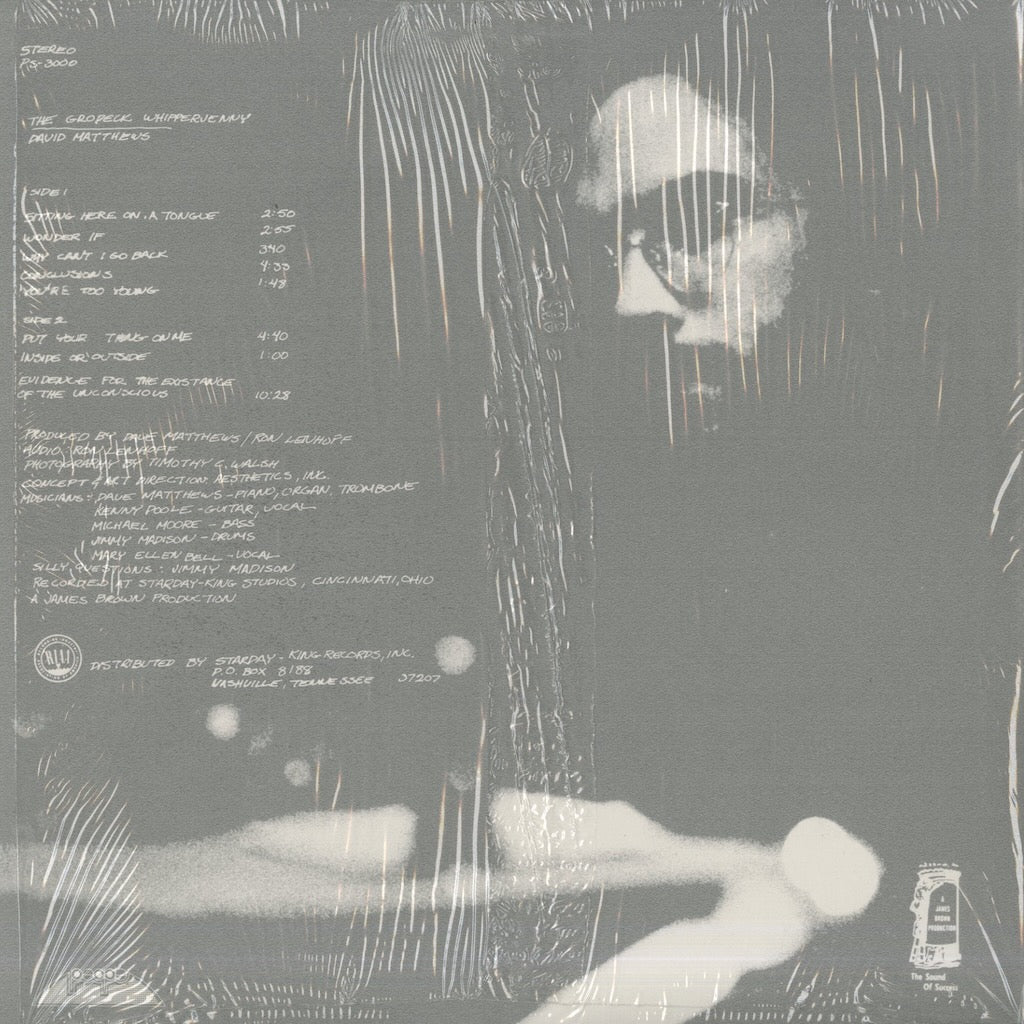 Dave Matthews / デヴィッド・マシューズ / The Grodeck Whipperjenny (1971)
