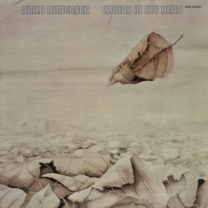 Arild Andersen / アリルド・アンデルセン /  Clouds In My Head (ECM 1059 ST)