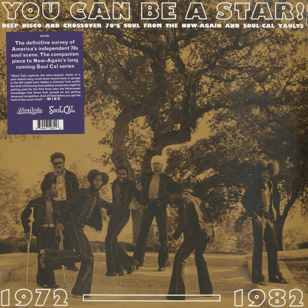 V.A. You Can Be A Star Deep Disco Crossover 70s Soul NA5284 LP