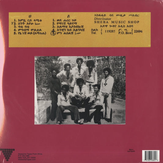 Hailu Mergia - Wede Harer Guzo (ATFA021) 2016 US Awesome Tapes From Africa｜新品2LP