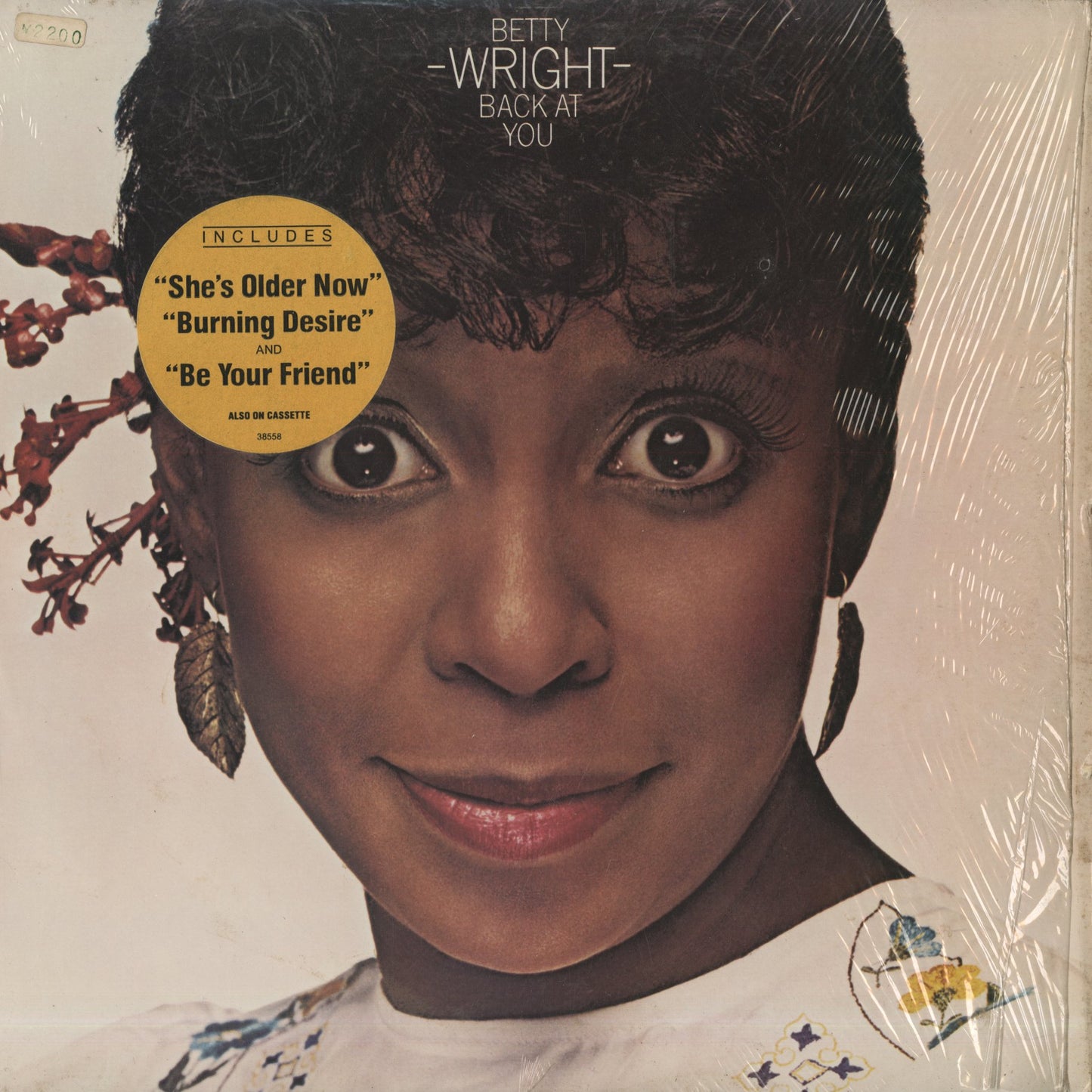 Betty Wright / ベティ・ライト / Back At You (FE38558)