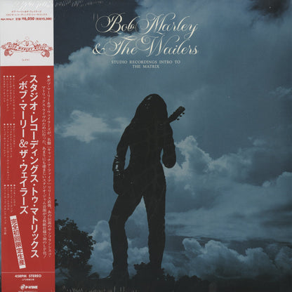 Bob Marley / ボブ・マーリー / Studio Recordings Intro To The Matrix (PLP-7976/7))