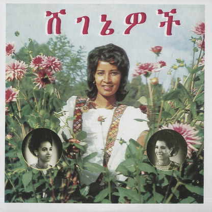 Aselefech Ashine & Getenesh Kebret『Beauties』2023年US Mississippi Records LP（MLP-202）エチオピア女性デュオ 1976年録音
