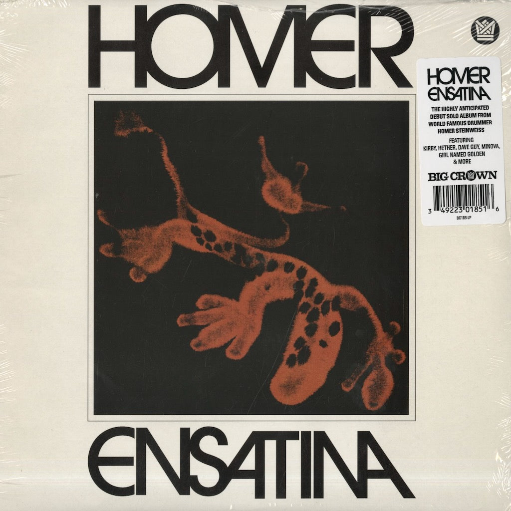 Homer / Ensatina (BC185-LP)