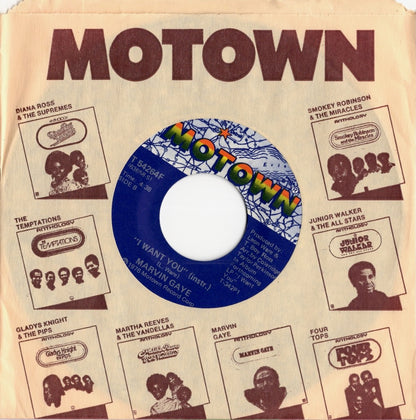 Marvin Gaye / マーヴィン・ゲイ / I Want You / Inst -7 (T54264F)