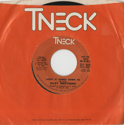 The Isley Brothers / アイズレー・ブラザーズ / What It Comes Down To -7 (ZS7 2252)