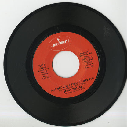 Jerry Butler / ジェリー・バトラー / Just Because I Really Love You / Only The Strong Survive -7 (72898)