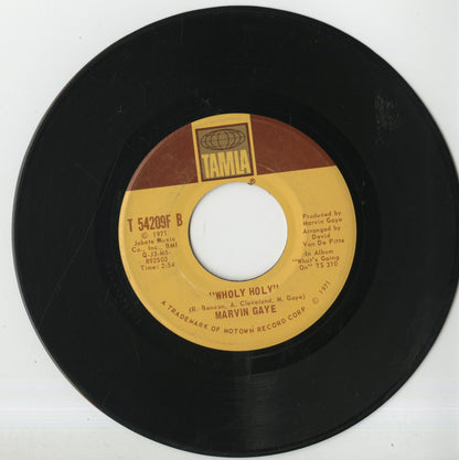 Marvin Gaye / マーヴィン・ゲイ / Inner City Blues / Wholy Wholy -7 (T54209F)