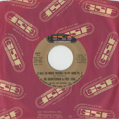 Joe Quarterman and Free Soul / ジョー・クォーターマン＆フリー・ソウル / (I Got) So Much Trouble In My Mind (part1&2) -7 (6879)