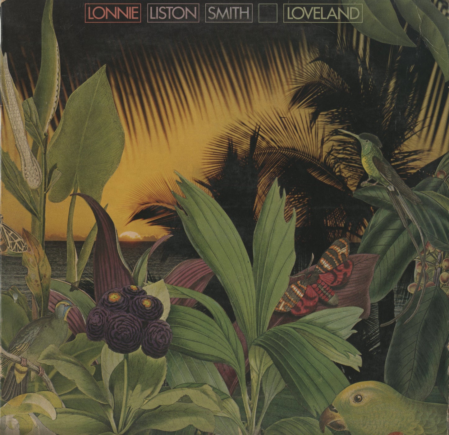 Lonnie Liston Smith / ロニー・リストン・スミス / Loveland (JC35332)